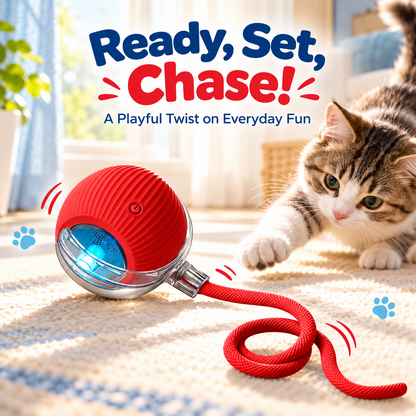 Automatic Rolling Cat Ball – Rechargeable with Rope Tail
