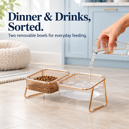 Tilted Pet Bowls with Gold Metal Stand