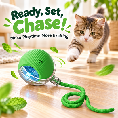 Automatic Rolling Cat Ball – Rechargeable with Rope Tail