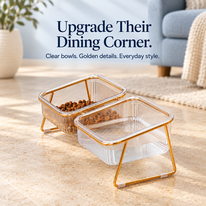 Tilted Pet Bowls with Gold Metal Stand
