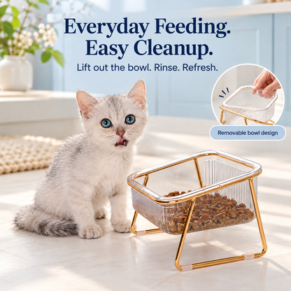 Tilted Pet Bowls with Gold Metal Stand