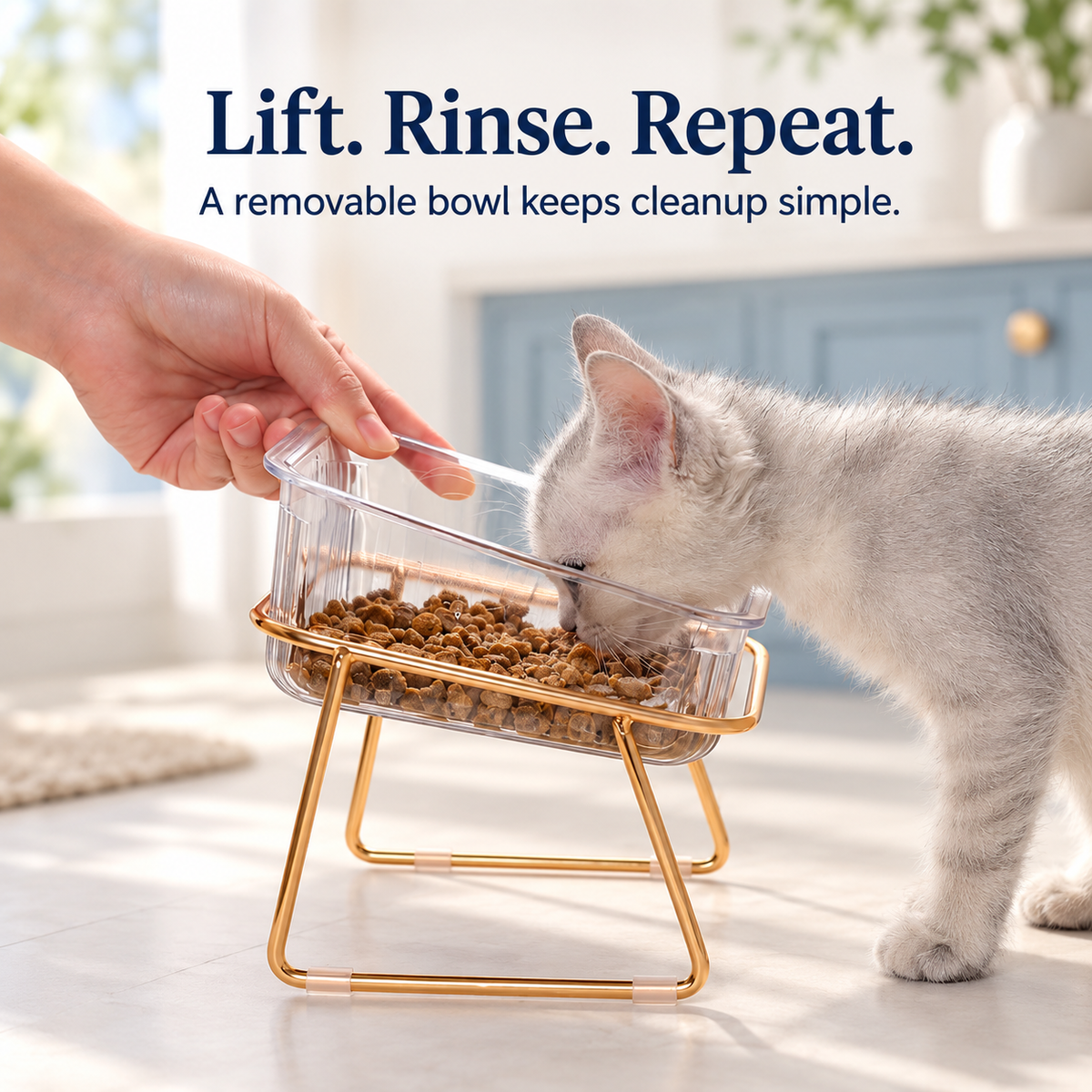 Tilted Pet Bowls with Gold Metal Stand