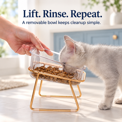 Tilted Pet Bowls with Gold Metal Stand