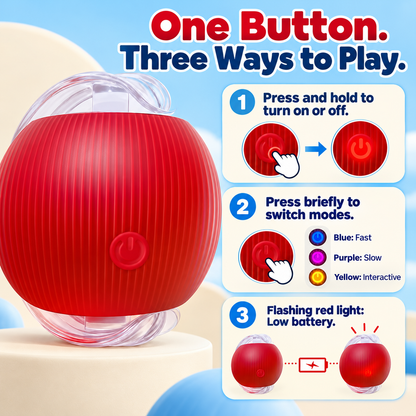 Automatic Rolling Cat Ball – Rechargeable with Rope Tail